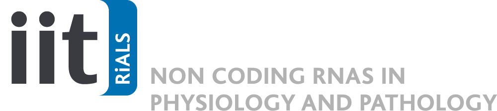 IIT